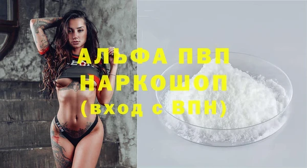 ГАЛЛЮЦИНОГЕННЫЕ ГРИБЫ Белокуриха