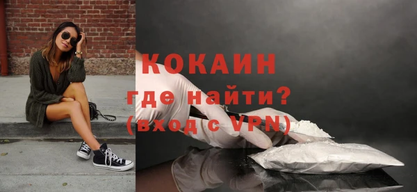 ГАЛЛЮЦИНОГЕННЫЕ ГРИБЫ Белокуриха