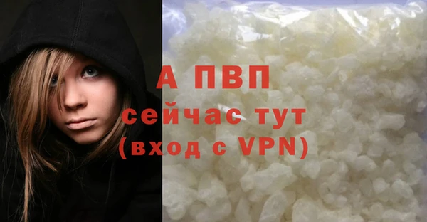 ГАЛЛЮЦИНОГЕННЫЕ ГРИБЫ Белокуриха