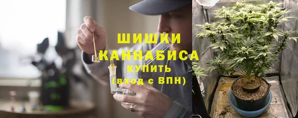 ГАЛЛЮЦИНОГЕННЫЕ ГРИБЫ Белокуриха