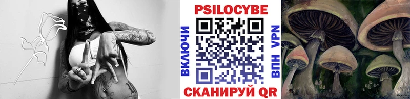 Купить закладки  Рузаевка  Псилоцибиновые грибы мухоморы 